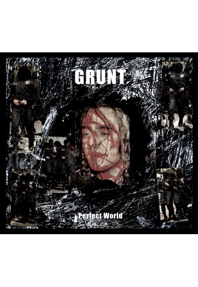 GRUNT "Perfect World"-CD
